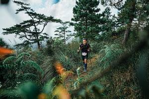 BIB: 
                            <button type="button" onclick="openModal(25259482)" class="btn btn-primary btn-sm float-right btn-popup" data-toggle="modal" data-target=".modal-high-quality">
                        <i class="fas fa-shopping-cart"></i> Add to Cart
                    </button>
                                            <button type="button" onclick="isThisMe(25259482, true)" class="btn btn-success btn-sm float-right btn-popup btn-isme hidden" data-toggle="tooltip" data-placement="bottom" title="นี่คือรูปของคุณใช่ไหม คลิกที่นี่เพื่อเอาเข้าอัลบั้ม">
                        <i class="fas fa-plus"></i> Add to album
                    </button>
                    <button type="button" onclick="isThisMe(25259482, false)" class="btn btn-warning btn-sm float-right btn-popup btn-isnotme hidden">
                        <i class="fas fa-ban"></i> Remove from album
                    </button>